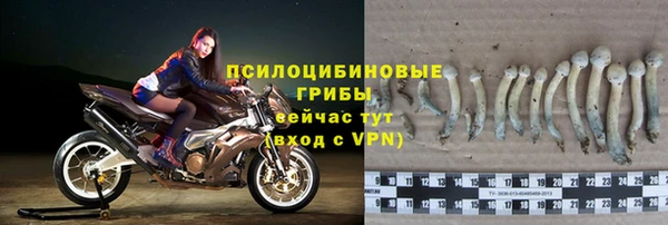МДПВ Абдулино
