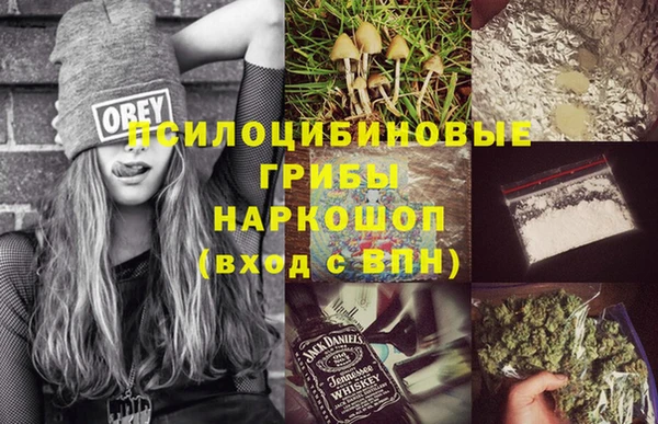МДПВ Абдулино