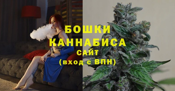 шишки Алексеевка