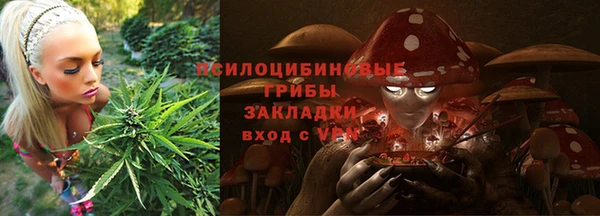 твердый Абинск