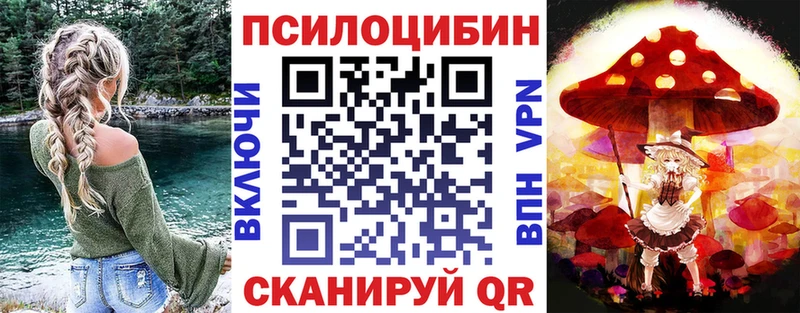 Псилоцибиновые грибы мицелий  гидра рабочий сайт  Железноводск  цена наркотик 