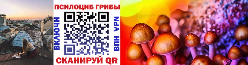 Псилоцибиновые грибы ЛСД Железноводск